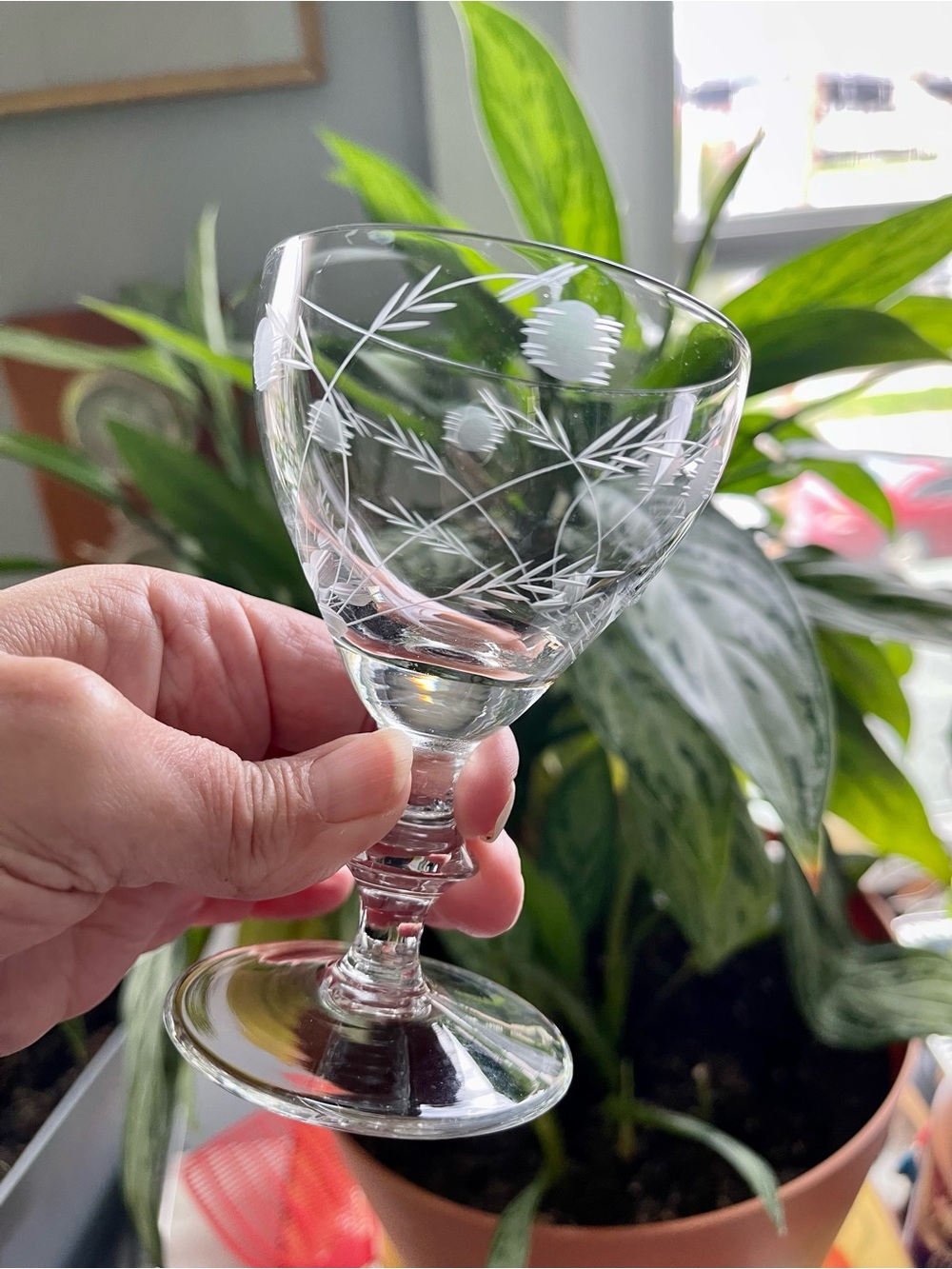 Vintage Set of 4 Etched Botanical Art Deco Cordial Liqueur Sherry Glasses